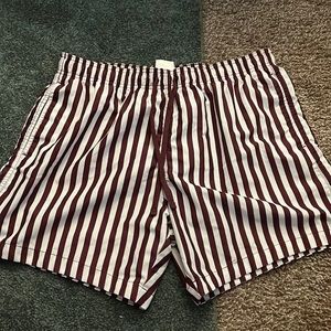 Stripped Swim Trunks
